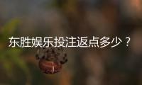 东胜娱乐投注返点多少？揭秘高返水福利与实战技巧