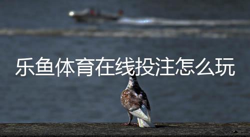 乐鱼体育在线投注怎么玩？新手入门、玩法规则与风险防范全攻略