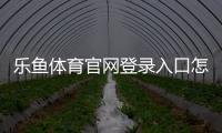 乐鱼体育官网登录入口怎么进？官网注册、登录与常见问题详细教程
