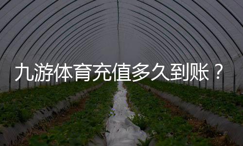 九游体育充值多久到账？平均到账时间、常见延迟原因与快速到账解决办法