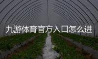 九游体育官方入口怎么进？2026最新登录、注册与安全使用全攻略