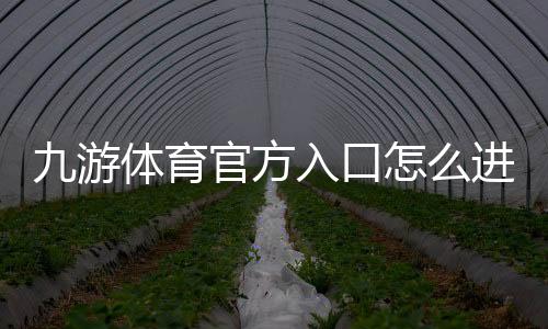 九游体育官方入口怎么进?2026最新登录、注册与安全使用全攻略