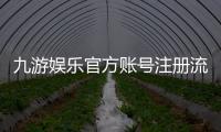 九游娱乐官方账号注册流程详解：新手快速开户、实名认证与常见问题
