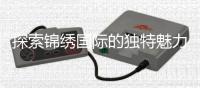 探索锦绣国际的独特魅力