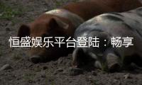 恒盛娱乐平台登陆：畅享顶级棋牌与电子游艺的豪华体验