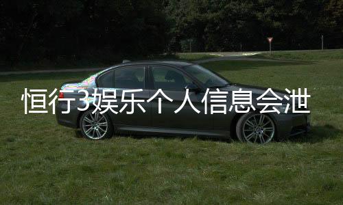 恒行3娱乐个人信息会泄漏吗？深度解析平台安全性与防护措施