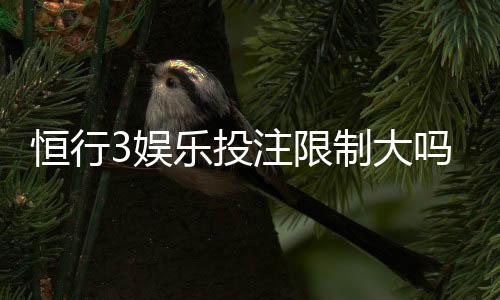 恒行3娱乐投注限制大吗？资深玩家解析平台规则与实战策略