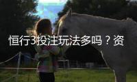 恒行3投注玩法多吗？资深玩家带你解锁多样游戏体验
