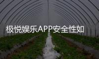 极悦娱乐APP安全性如何？深度解析其资金保障与数据防护措施