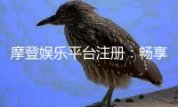 摩登娱乐平台注册：畅享顶级电子游艺与真人娱乐体验