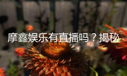 摩鑫娱乐有直播吗?揭秘平台真人娱乐直播详情