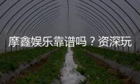 摩鑫娱乐靠谱吗？资深玩家带你揭秘真实体验