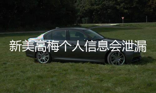 新美高梅个人信息会泄漏吗？深度解析平台安全性与防护措施