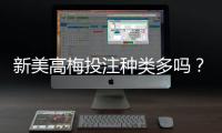 新美高梅投注种类多吗？一篇文章带你了解全部游戏选项