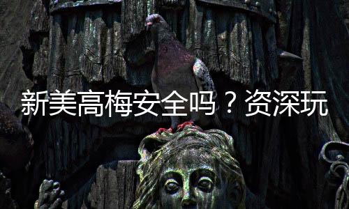 新美高梅安全吗?资深玩家解析平台可靠性与游戏体验