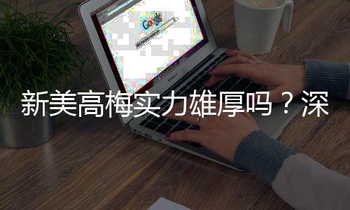 新美高梅实力雄厚吗？深度解析其品牌背景与市场竞争力