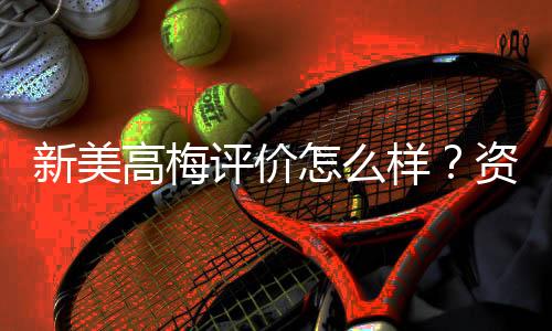 新美高梅评价怎么样？资深玩家带你揭秘真实体验