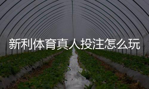 新利体育真人投注怎么玩？新手入门、玩法规则与风险提示全面解析