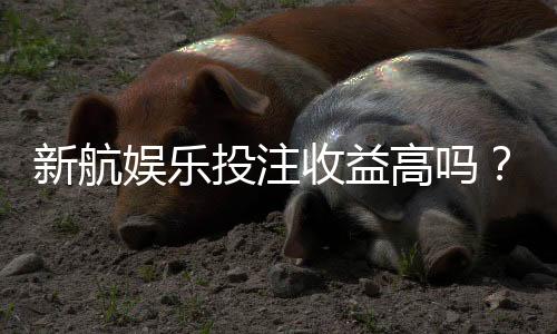新航娱乐投注收益高吗？资深玩家揭秘真实盈利策略