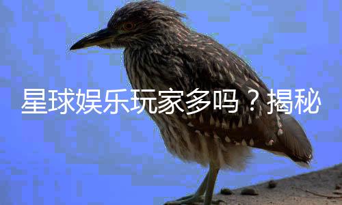 星球娱乐玩家多吗？揭秘平台真实人气与玩家体验