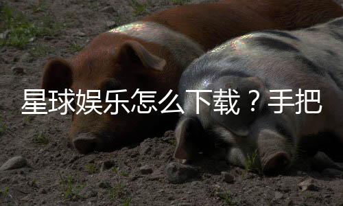 星球娱乐怎么下载？手把手教你快速安装畅玩攻略