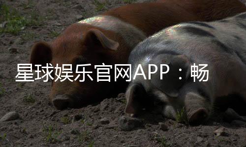 星球娱乐官网APP：畅享顶级棋牌电游的尊贵体验