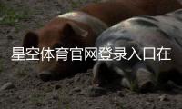 星空体育官网登录入口在哪里？官方入口、注册与登录详细教程