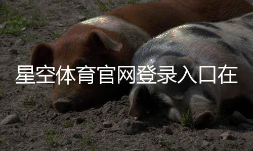 星空体育官网登录入口在哪里？官方入口、注册与登录详细教程