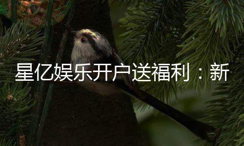 星亿娱乐开户送福利：新手注册即享多重豪礼轻松开启财富之旅