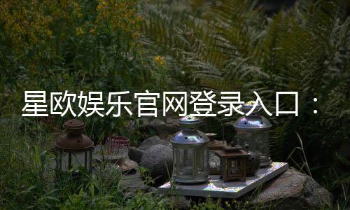 星欧娱乐官网登录入口：畅享顶级棋牌电游的尊贵体验