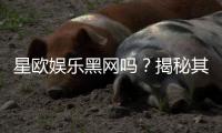星欧娱乐黑网吗？揭秘其真伪与玩家安全攻略