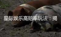 星际娱乐高赔率玩法：揭秘高回报的实战技巧与策略
