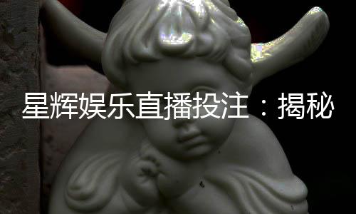 星辉娱乐直播投注：揭秘高胜率玩家的实战技巧与策略