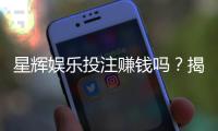 星辉娱乐投注赚钱吗？揭秘平台盈利模式与实战技巧
