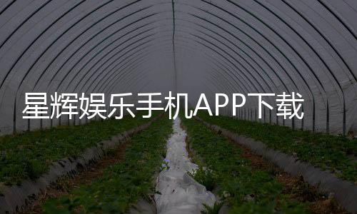 星辉娱乐手机APP下载：畅享棋牌电游的顶级移动平台