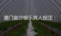 澳门金沙娱乐真人投注：揭秘高胜率玩家的实战技巧与心得