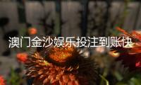 澳门金沙娱乐投注到账快吗？实测到账速度与提款技巧分享