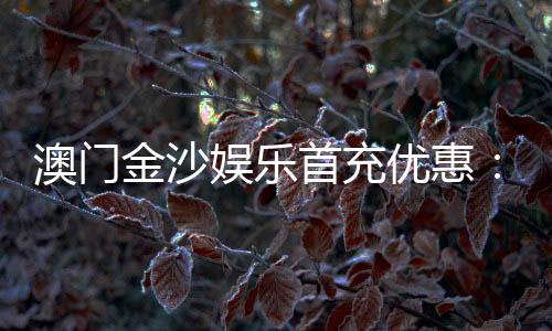 澳门金沙娱乐首充优惠：新会员专享高额返利与独家礼包