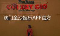 澳门金沙娱乐APP官方下载通道：畅享豪华娱乐体验的便捷入口