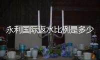 永利国际返水比例是多少：详细了解返水政策