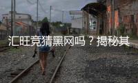 汇旺竞猜黑网吗？揭秘其安全性与玩家真实体验