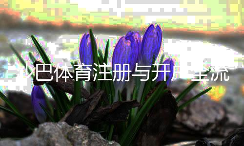 沙巴体育注册与开户全流程:新手必看详细步骤与注意事项