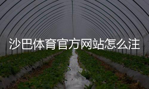 沙巴体育官方网站怎么注册与登录？最新入口、账号安全与新手指南