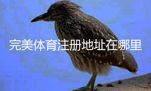 完美体育注册地址在哪里？2026最新注册链接与新手注册流程详解