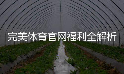 完美体育官网福利全解析：新人注册优惠、日常活动与领取攻略