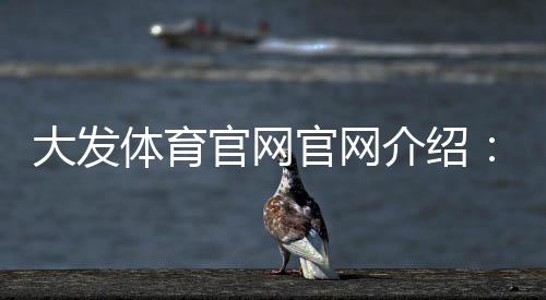 大发体育官网官网介绍:注册登录、充值提现与安全使用新手全攻略