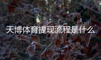 天博体育提现流程是什么？新手提现步骤、到账时间与注意事项全攻略