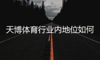 天博体育行业内地位如何？市场份额、竞争力与发展前景全方位解析