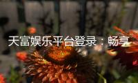 天富娱乐平台登录：畅享顶级游戏体验与安全登录指南