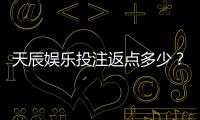 天辰娱乐投注返点多少？最新返点政策解析与玩家经验分享